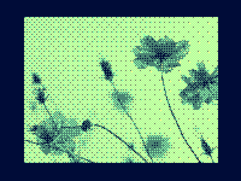 Preview of image dithering