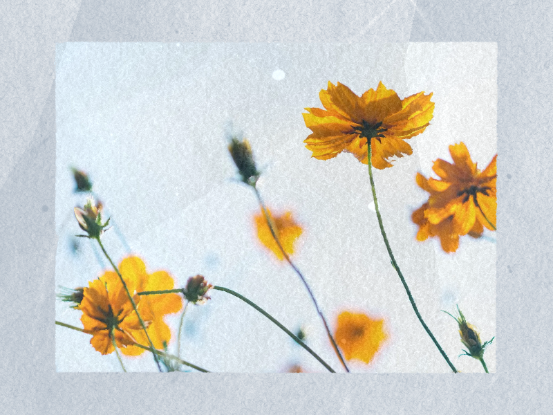 Preview of paper texture